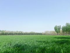 -汉长安城未央宫国家考古遗址公园