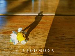 -新沙洞咖啡(泉乐坊店)