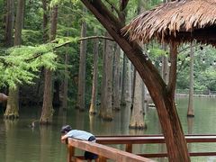 -波尔登森林公园