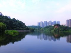 -重庆彩云湖湿地公园