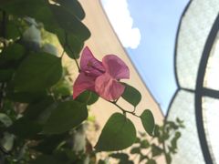 柳湖小筑青年旅舍-柳湖小筑青年旅舍