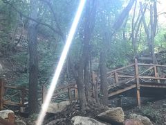 -大岭沟猕猴桃谷风景区