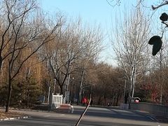 景点-朝阳公园