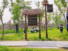 -上海长兴岛郊野公园