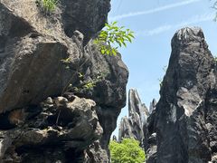 -玉石林风景区