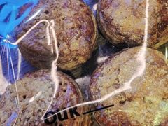 -OUR Bakery(SKP-S店)