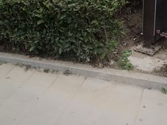 -盒马鲜生(丁香国际店)