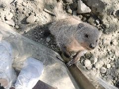 -国色天乡三期陆地乐园
