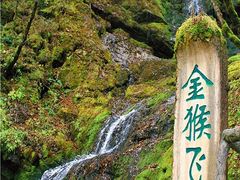 -神农架景区