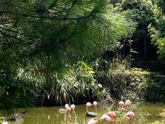 -千岛湖东南湖区