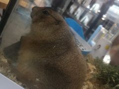 -仲盛世界商城