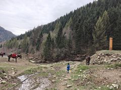 -芦芽山旅游度假区