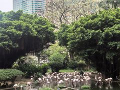 -九龙公园