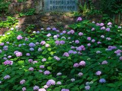 -城隍阁
