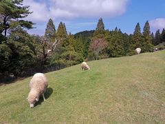 -神户市立六甲山牧场