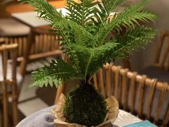 -陶享时光西餐·下午茶(信河街店)