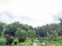-小洲村