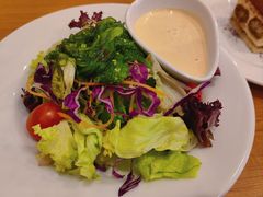 海带丝蔬菜沙拉-萨莉亚意式餐厅(深圳北站店)