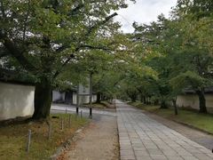-醍醐寺