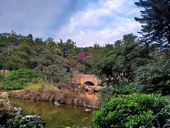 -云溪植物园