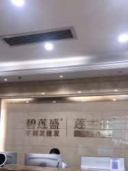 -碧莲盛·不剃发植发