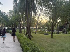 -三亚湾海居铂尔曼度假酒店