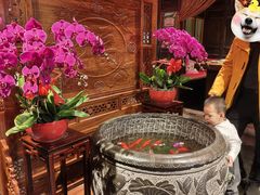 -小吊梨汤·北京菜·烤鸭(望京四元桥购物中心店)