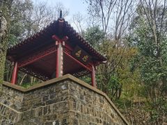 -北极阁公园