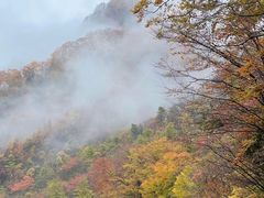 -光雾山旅游景区