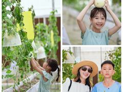 -长洲岛都市农业公园