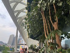 -润园四季椰子鸡火锅(海上世界店)