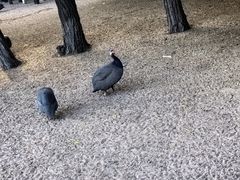 -秦皇岛野生动物园