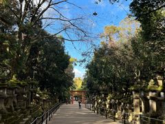 -奈良公园
