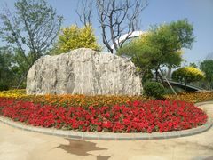 -武清南湖绿博园