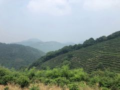 -西湖风景区十里琅珰-五云山
