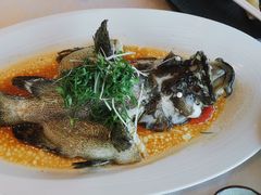 -南海渔村(珠江新城店)