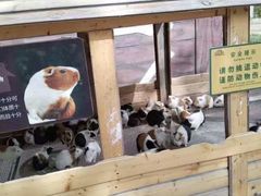 -北戴河集发农业梦想王国