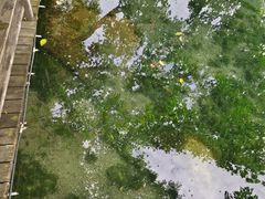 -南京珍珠泉风景区