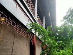 -乐山乌木文化博览苑