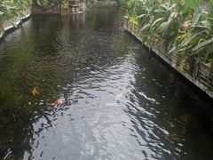 -新灿记大酒楼