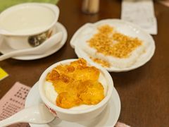 -南信牛奶甜品专家