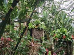 -北京植物园-展览温室