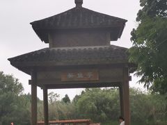 -苏州太湖国家湿地公园