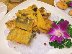 -寻味顺德·南记酒家·传统顺德菜·鱼生(广源路店)