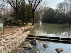 -洛阳市隋唐城遗址植物园