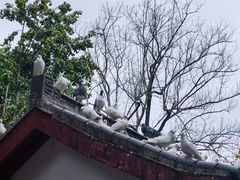 -赭山公园