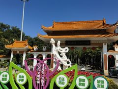-深圳仙湖植物园