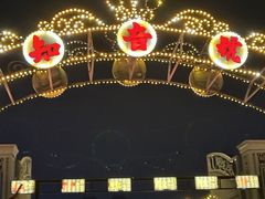 -武汉知音号