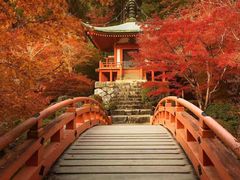 -醍醐寺