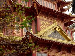 -龙潭水乡